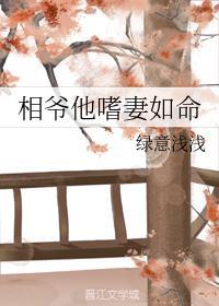 相爷他嗜妻如命封面
