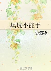 填坑小能手封面