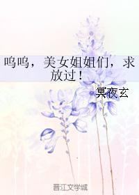 呜呜，美女姐姐们，求放过！封面