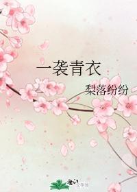 一袭青衣封面