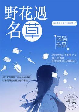 野花遇名草封面