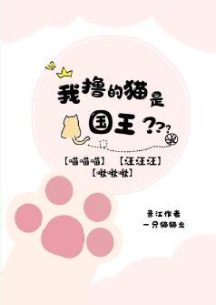 我撩的猫是国王陛下封面