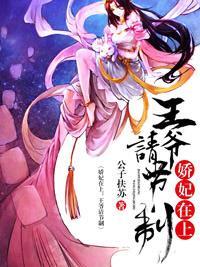 倾城傻妃封面
