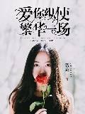 爱你纵使繁华一场封面