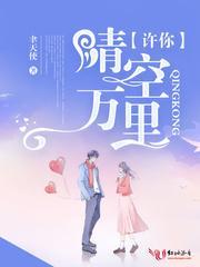 许你晴空万里封面