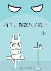 将军，你就从了我吧封面