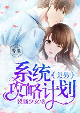 美男系统攻略计划封面