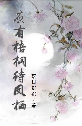 应有梧桐待凤栖封面