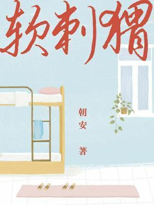 软刺猬封面