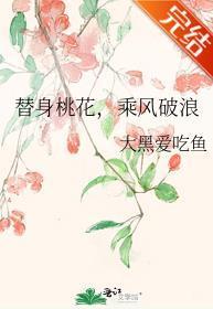 替身桃花，乘风破浪封面