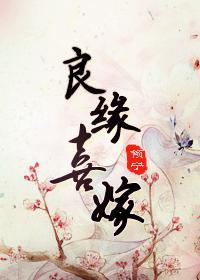 良缘喜嫁封面