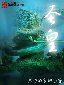 圣皇封面