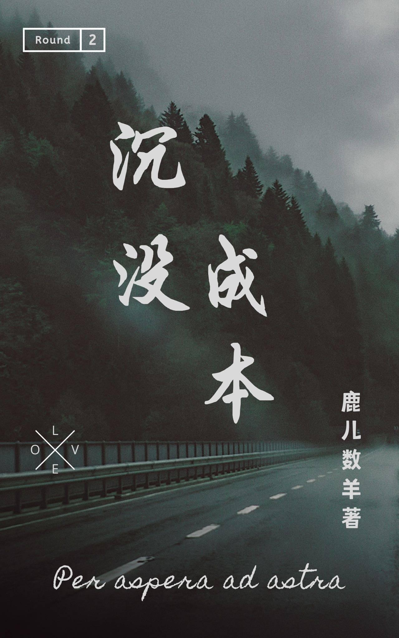 沈没成本封面