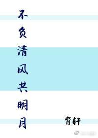 不负清风共明月封面