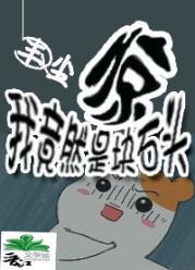惊！我竟然是块石头封面