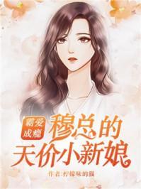 温言穆霆琛封面
