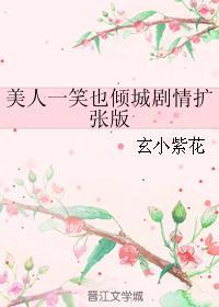 美人一笑也倾城剧情扩张版封面