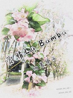爱情La Bamba封面