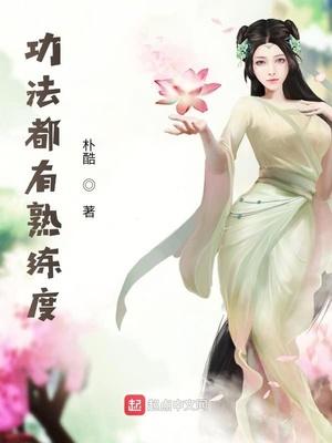 功法都有熟练度封面