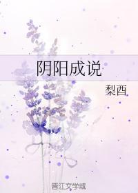 阴阳成说封面