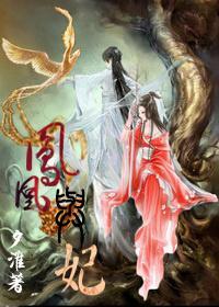 凤凰与妃封面