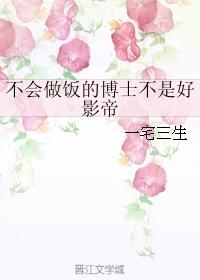 不会做饭的博士不是好影帝封面