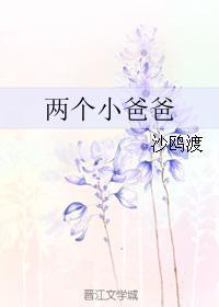 两个小爸爸封面