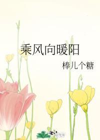 乘风向暖阳封面