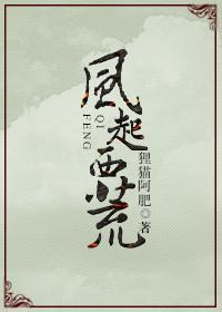 [影卫]风起西荒封面