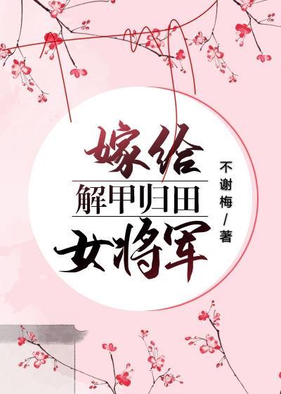 嫁给解甲归田女将军封面