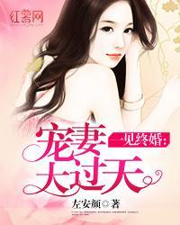 一见终婚：宠妻大过天封面