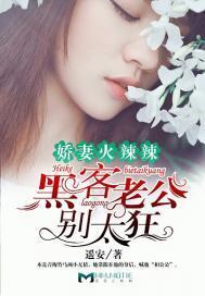 娇妻火辣辣：黑客老公别太狂！封面