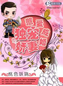 婚内霸爱之独宠娇妻封面