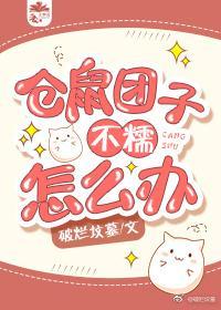 仓鼠团子不糯怎么办封面