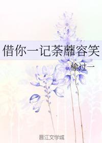 借你一记荼蘼容笑封面