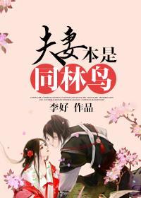 夫妻本是同林鸟封面