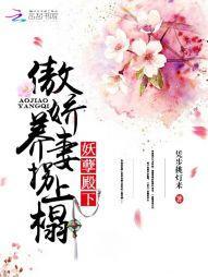 妖孽殿下：傲娇养妻拐上榻封面