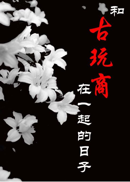 和古玩商在一起的日子封面