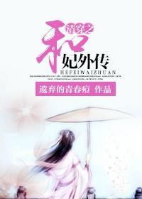 清穿之和妃外传封面