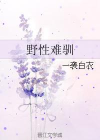 野性难驯封面