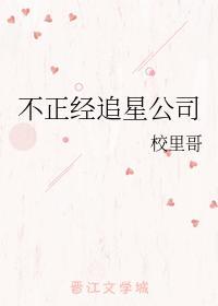 不正经追星公司封面
