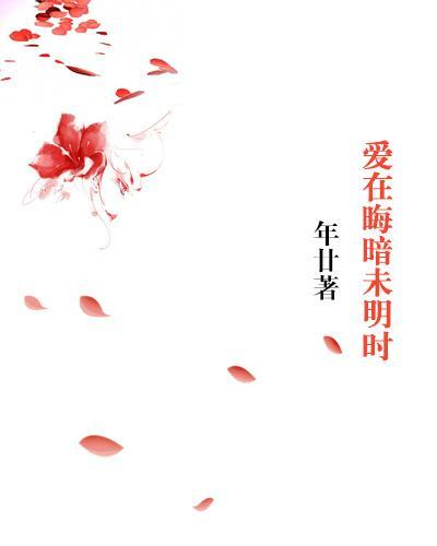 爱在晦暗未明时封面