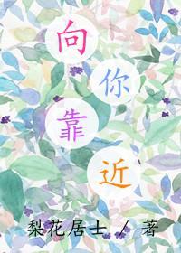 向你靠近封面