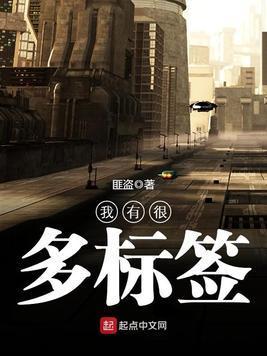 我有很多标签封面