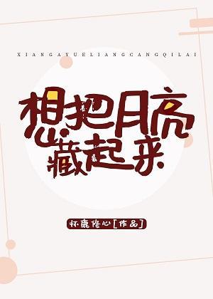 想把月亮藏起来封面