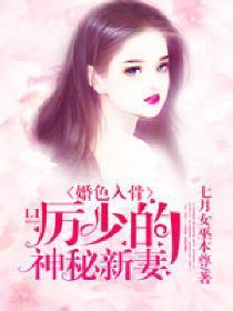 婚色入骨：厉少的神秘新妻封面