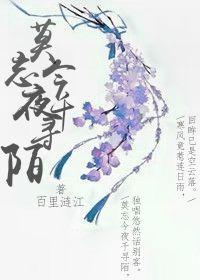 莫忘今夜千寻陌封面