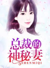 总裁的神秘妻封面