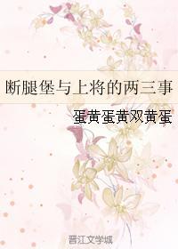 断腿堡与上将的两三事封面