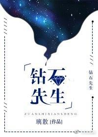钻石先生封面